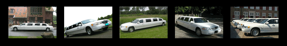 Limousine verhuur service in friesland